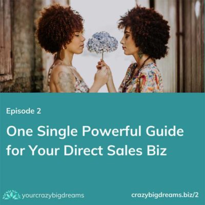 One Single Powerful Guide for Your Direct Sales Biz