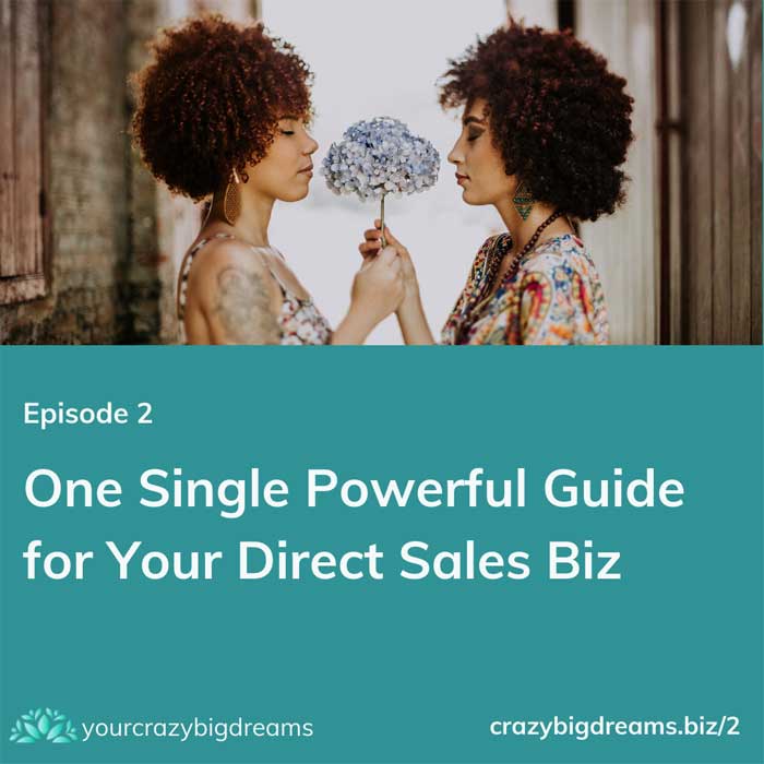 One Single Powerful Guide for Your Direct Sales Biz